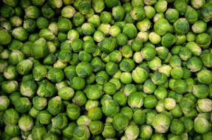 brussels sprouts not exciting daily vegetable