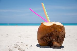 coconut drink beach straw sea sky sand